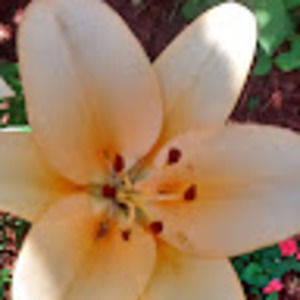 Meet your Posher, Sandra